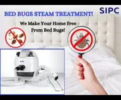 Bed Bug Services in Hyderabad