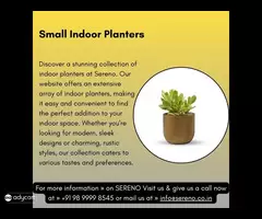 Buy Pots and Planters Online | Indoor Planters - Sereno