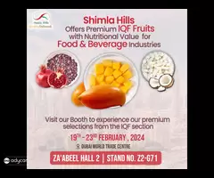 Enjoy the Unique Flavour of Totapuri Mango Dices from Shimla Hills!