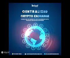 centralized crypto exchange development company