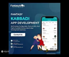 Fantasy Kabaddi Application Development Experts