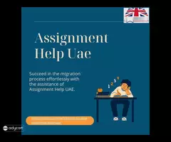 Assignment Help UAE Services Online