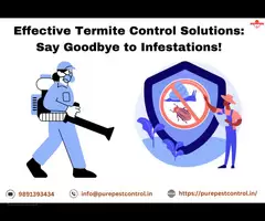 Effective Termite Control Solutions: Say Goodbye to Infestations!