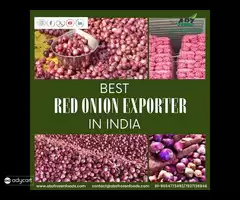 Find Best Red Onion Exporter in India