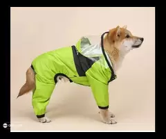 Pamper Your Pup: Stylish Dog Rain Hoodie