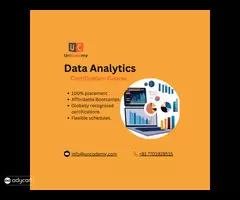 Online & In-person Data Analytics Training