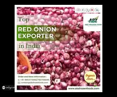 Find Top Red Onion Exporter in India