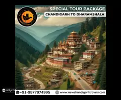 Special Tour Package Chandigarh to Dharamshala