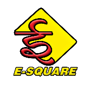 E-Square Training Academy